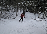 IMG_0082.jpg
