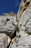 IMG_3569.jpg
