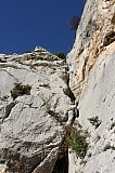 IMG_3584.jpg