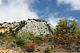 IMG_3600.jpg