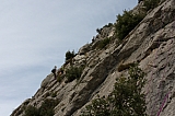 IMG_3609.jpg
