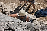 IMG_5364.jpg