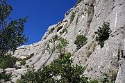 IMG_5382.jpg