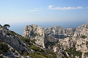 IMG_5399.jpg