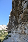 IMG_5411.jpg