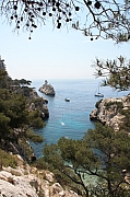 IMG_5424.jpg