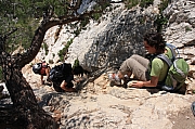 IMG_5446.jpg