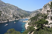 IMG_5454.jpg