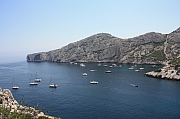IMG_5455.jpg
