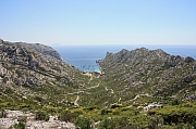IMG_5473.jpg