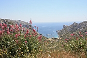 IMG_5473b.jpg