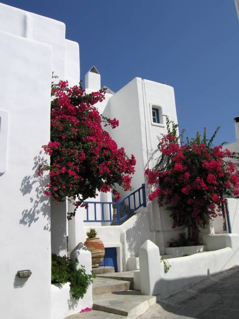 grece 586.jpg
