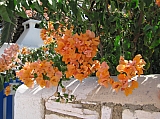 grece 518.jpg