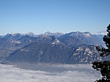 Le Granier CHARTREUSE 034.jpg