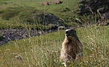 Montagne 016 m.jpg