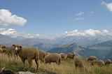 Montagne 046.jpg