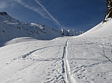 Pic Belle Etoile 008m.jpg